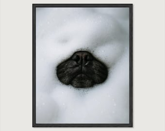 Pug Bubble Bath Art Print, Minimalist Bathroom Framed Wall Art