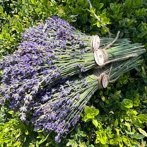 Lavender Bouquets, handmade, rustic, organic, natural, Lavender Decor, Natural Gifts