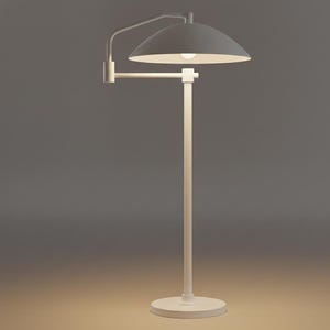 May include: A white floor lamp with a curved arm and a dome-shaped lampshade. The lamp has a circular base and a straight pole. The lampshade is angled downwards, and the light bulb is visible.