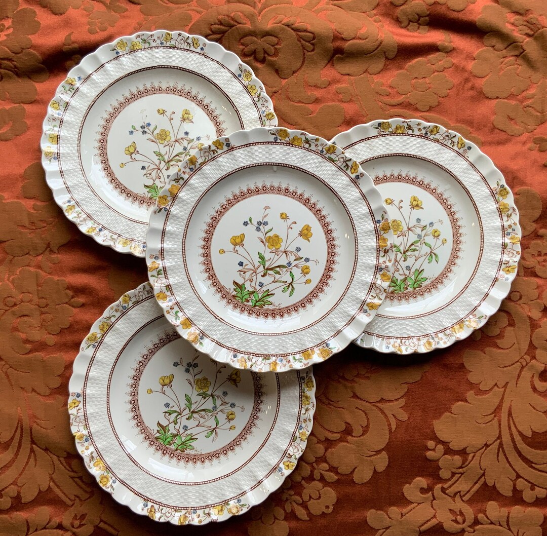 Antique Spode 9 Botanical Plates - Etsy