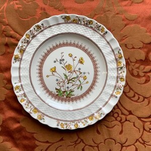 Antique Spode 9 Botanical Plates - Etsy