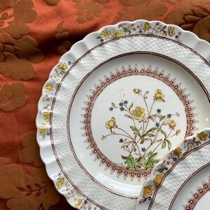 Antique Spode 9 Botanical Plates - Etsy