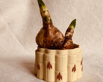 Wedgwood Bulb "Caneware" - Jasperware Cachepot