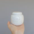 Small Crystalline Ceramic Pet Urn: Handmade Memorial Keepsake Jar product logo