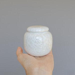 Może przedstawiać: Mały, biały ceramiczny słoik z pokrywką. Słoik ma zaokrąglony kształt i teksturowaną, spękaną powierzchnię. Pokrywka jest również biała i dobrze pasuje. Słoik jest trzymany w dłoni na szarym tle.