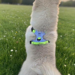 Large Dog Harness – Heavy Duty, Pull-Resistant, Breathable & Secure – Ideal for Strong Dogs