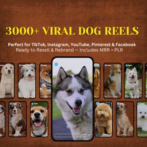 3000+ Funny Cute Dog Clips for Reels & TikTok | Viral Pet Videos | Shorts Content | PLR + MRR | Dog Niche Bundle