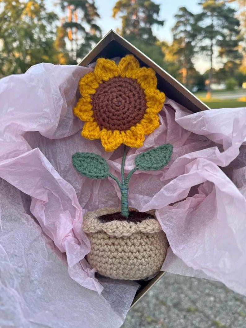 Op de afbeelding: Een handgemaakte gehaakte zonnebloem met een bruin hart en gele bloemblaadjes, groene bladeren en een beige pot. De zonnebloem wordt gepresenteerd in een geschenkdoos met roze vloeipapier. Het handwerk is gedetailleerd en de kleuren zijn levendig.