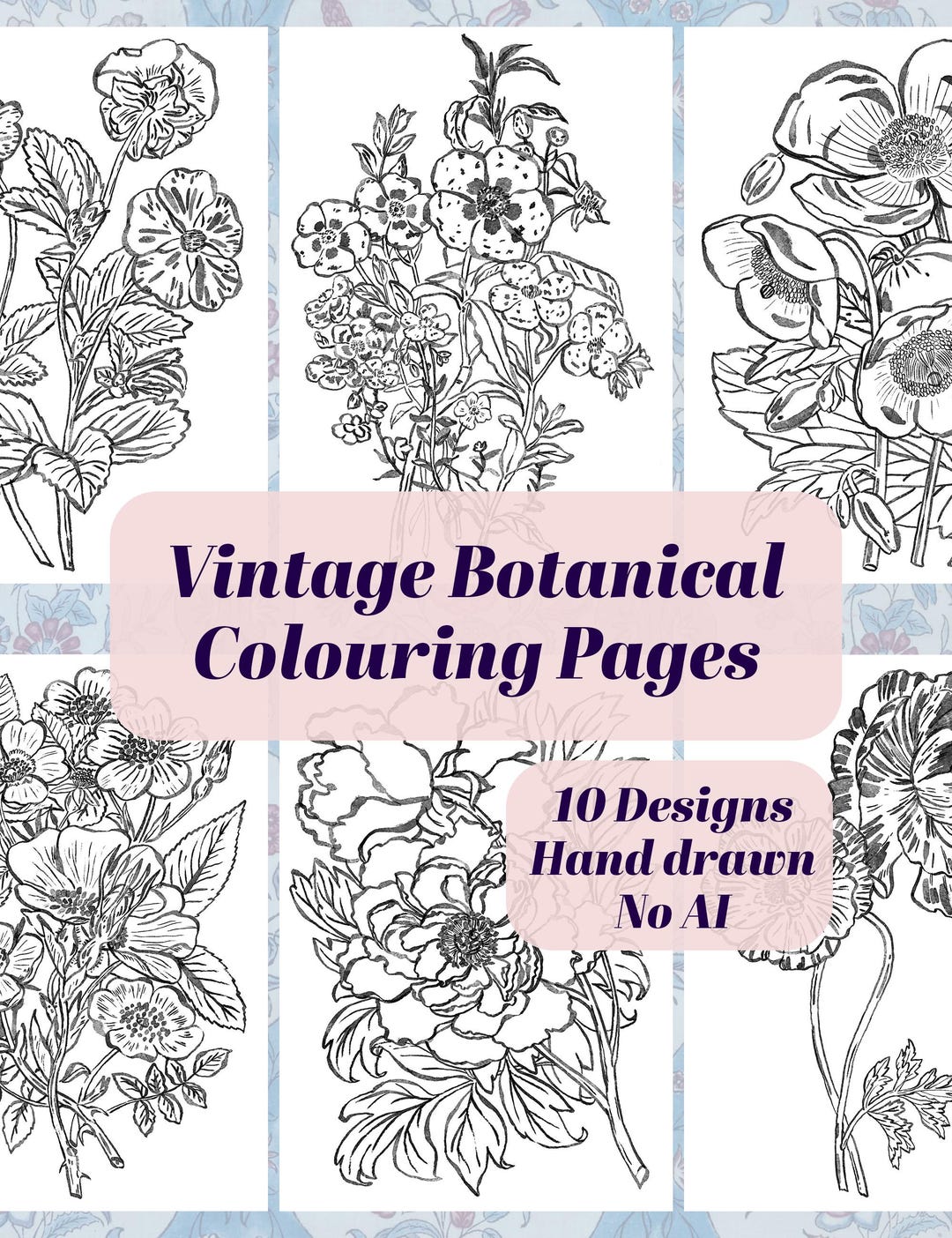 Vintage Botanical Colouring Pages, Hand Drawn Watercolor Art, Ai-free ...