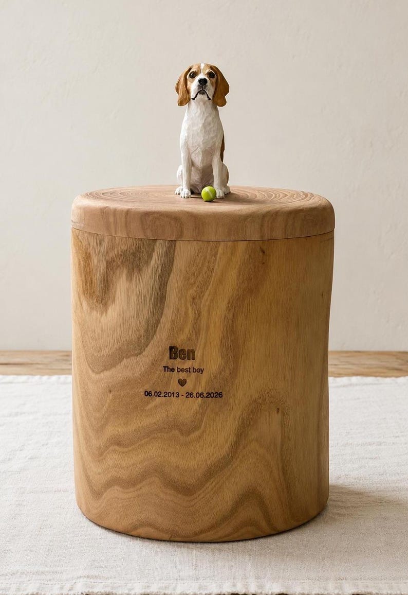 Puede incluir: Una urna cil&iacute;ndrica de madera con una figura de beagle tallada y una peque&ntilde;a pelota verde encima. El frente est&aacute; grabado con el texto "Ben", "The best boy", un s&iacute;mbolo de coraz&oacute;n y las fechas "06.02.2013 - 26.06.2026" en letras oscuras.