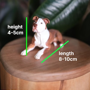 Puede incluir: Una figura de perro marr&oacute;n y blanca en posici&oacute;n tumbada. La figura tiene una altura de 4-5 cm y una longitud de 8-10 cm, como indican las l&iacute;neas de medici&oacute;n verdes. El perro tiene la cara blanca con orejas y cuerpo de color marr&oacute;n.