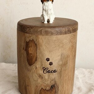 Puede incluir: Una urna cil&iacute;ndrica de madera con acabado de veta natural, que presenta una figura de perro Papillon en la tapa. El frente de la urna est&aacute; grabado con dos peque&ntilde;as huellas de patas y el nombre Coco en una fuente cursiva oscura.