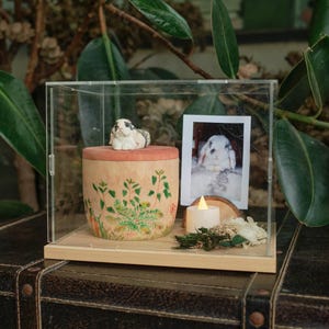 Può includere: Una teca in acrilico trasparente contenente un'urna cilindrica in legno con coperchio rosa, sormontata da una piccola statuetta di coniglio in ceramica. L'urna presenta un fogliame verde dipinto. Accanto si trovano una foto di un coniglio, una piccola candela LED e fiori secchi.
