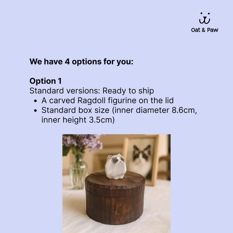 Option 1 information chart for a handmade wooden cat urn, showing a ready to ship Ragdoll figurine on a round dark wooden box with size details of 8.6 cm inner diameter and 3.5 cm inner height.