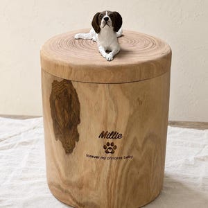 Puede incluir: Una urna cil&iacute;ndrica de madera con acabado de veta natural y un nudo oscuro en el lateral. Una figura esculpida de un perro marr&oacute;n y blanco yace sobre la tapa. El frente est&aacute; grabado con el nombre Millie, una huella y el texto forever my princess baby.