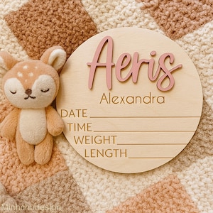 Personalized Baby Announcement Sign with Birth Stats, Footprint Sign For Newborn, Baby Name Reveal, Custom Baby Name Sign