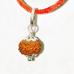 Può includere: Un piccolo ciondolo a forma di perla rudraksha marrone, rotonda e testurizzata, racchiuso in cappucci di metallo color argento. Il ciondolo pende da un cordino arancione brillante, con un anellino argentato e una piccola perlina decorativa.