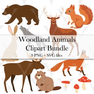 Woodland Animals Clipart PNG SVG, Cute Woodland, Woodland Nursery Clipart, Forest Animals, Forest Nursery Decor
