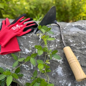 Traditional Korean Homi Hand Hoe – Forged Garden Tool for Weeding & Cultivating | Handmade in Yeongju, Korea