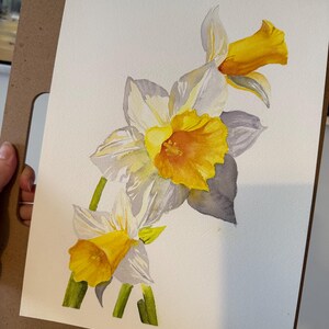 Aquarellbild Narzissen 23x30cm
