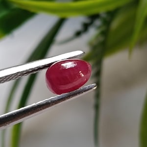 Könnte beinhalten: Ein polierter, ovalförmiger Rubin-Edelstein, der von einer silbernen Pinzette gehalten wird. Der Rubin hat eine tiefe, satte rote Farbe mit einer glatten, reflektierenden Oberfläche. Der Hintergrund ist verschwommen, mit grünem Laub und einer weißen Oberfläche.