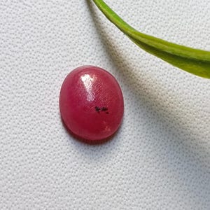 May include: A polished, oval-shaped, deep red gemstone. The stone has a smooth surface with a slight sheen and a small dark inclusion. A green plant stem is visible in the background.