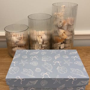 May include: A light blue box with a seashell pattern, bows, and starfish. Three clear glass vases filled with seashells are behind the box. The box is on a wooden surface.