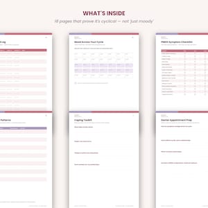 K&ouml;nnte beinhalten: Eine Sammlung von sechs gedruckten Seiten mit der &Uuml;berschrift WHAT'S INSIDE, die Abschnitte f&uuml;r Daily Mood Log, Mood Across Your Cycle, PMDD Symptom Checklist, Triggers & Patterns, Coping Toolkit und Doctor Appointment Prep mit Tabellen enthalten.