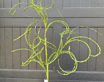 30.5” Apple Green glittered curly spray