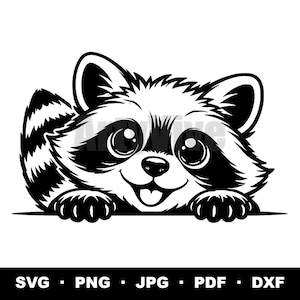 Puede incluir: Una ilustración gráfica en blanco y negro de un mapache sonriente asomándose sobre una línea horizontal, con ojos grandes, una cola rayada y patas apoyadas en el borde. El texto SVG, PNG, JPG, PDF, DXF está impreso en la parte inferior.