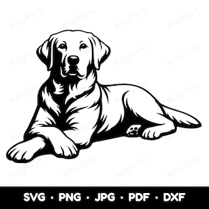Op de afbeelding: Een zwart-witte grafische illustratie van een Labrador Retriever die in rustpositie ligt. Het ontwerp heeft gedurfde lijnen en een hoog contrast, met de tekst SVG, PNG, JPG, PDF, DXF weergegeven aan de onderkant van de afbeelding.