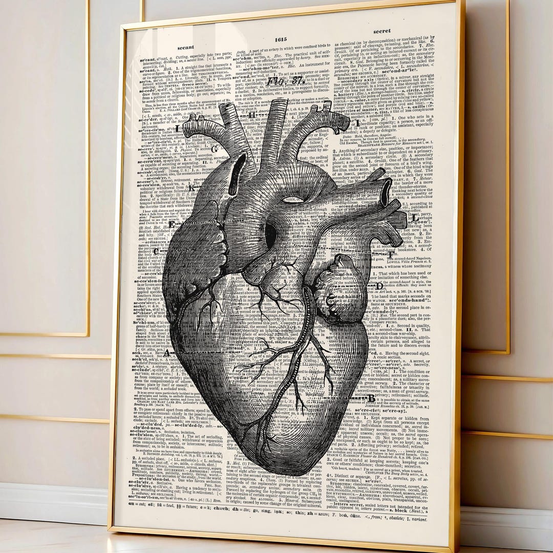 Heart Human Anatomy Art Print, Anatomical Heart Poster, Vintage ...
