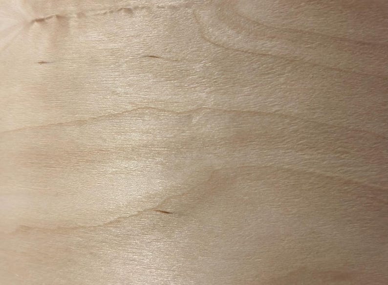 May include: Close-up of a light-colored wood grain surface. The wood has a smooth texture with subtle variations in color and visible grain patterns. Small, dark knots and imperfections are scattered across the surface, adding character to the natural wood.
