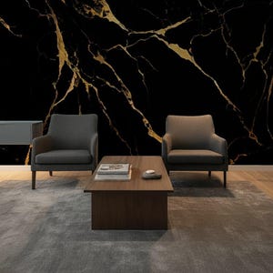May include: A modern living room featuring a black marble wall with gold veining. Two gray armchairs face a dark wood coffee table with books and a decorative stone. A gray rug covers the floor.