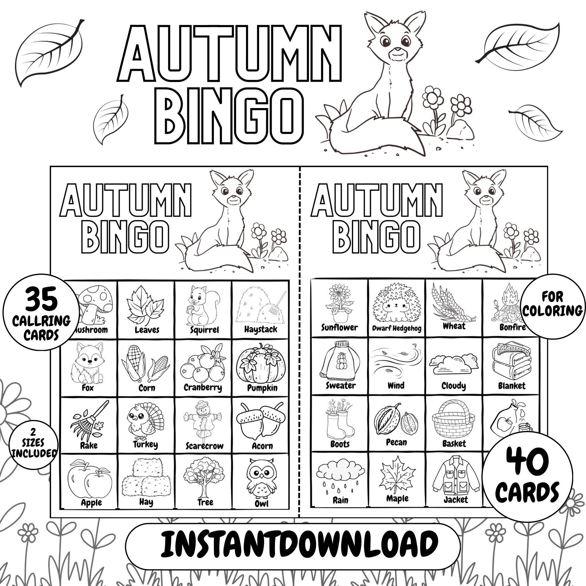Autumn Bingo Coloring Game for Kids: Printable Fall Activity (PDF