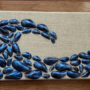 Mussel Wave Shell Art