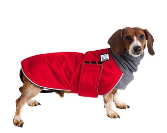 mini dachshund accessories