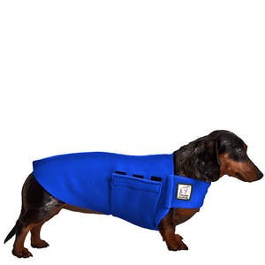 sausage dog apparel