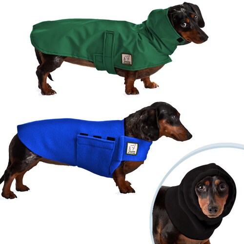 dachshund snowsuit