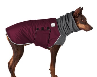 large dog coats for winter
