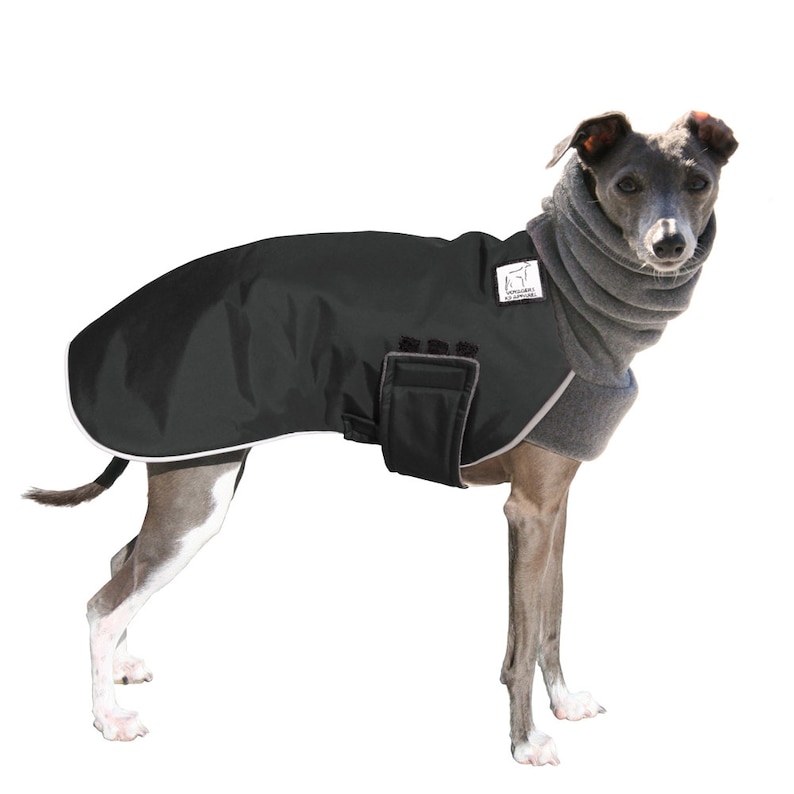ITALIAN GREYHOUND Winter Coat Waterproof Dog Coat Jacket Etsy
