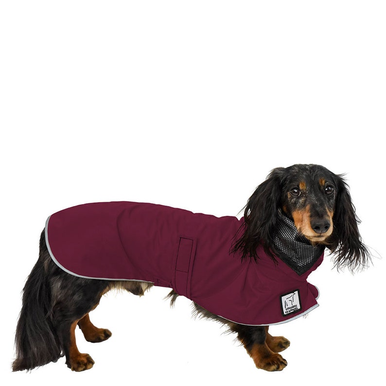 weiner dog clothing