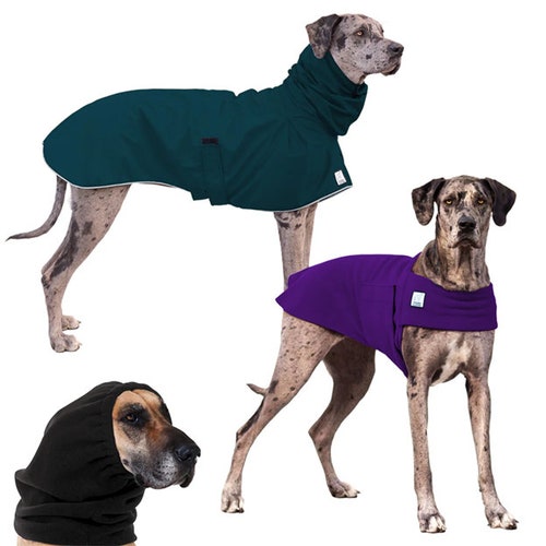 human dog clothes