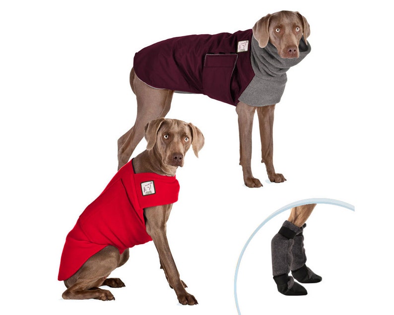 WEIMARANER Cold Climate Combo Winter Coat for Dogs Dog Etsy