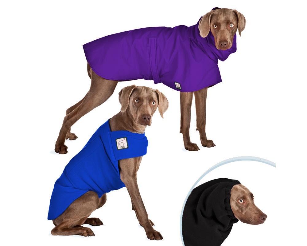 weimaraner apparel