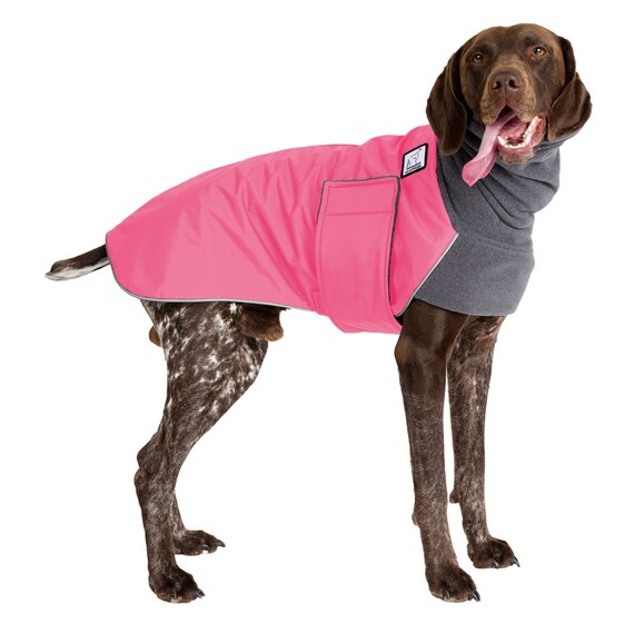 german shorthaired pointer winter coats