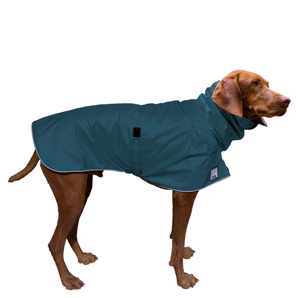 VIZSLA Dog Rain Coat Dog Raincoat Waterproof Dog Jacket Etsy