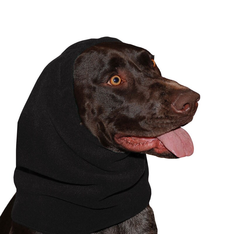german shorthaired pointer accessories