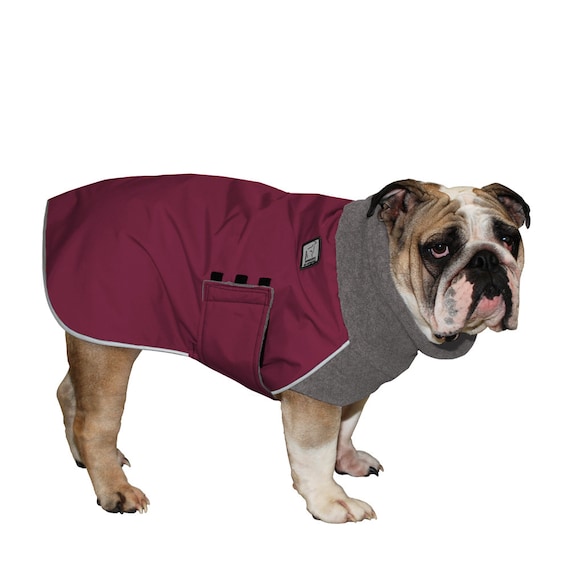 english bulldog winter coats uk