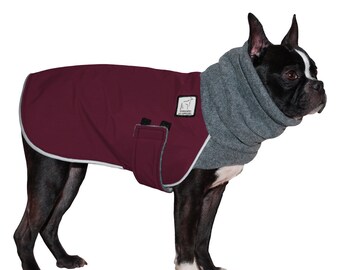 best winter coats for small dogs